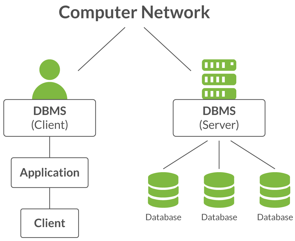 Database Management System